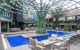 The Blowfish Hotel